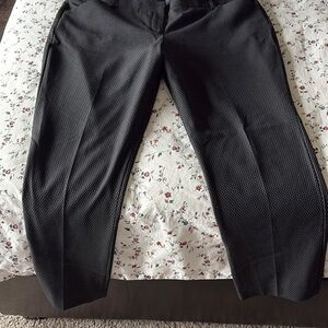 Express Editor Blue and Black Dot Straight Leg Pants
